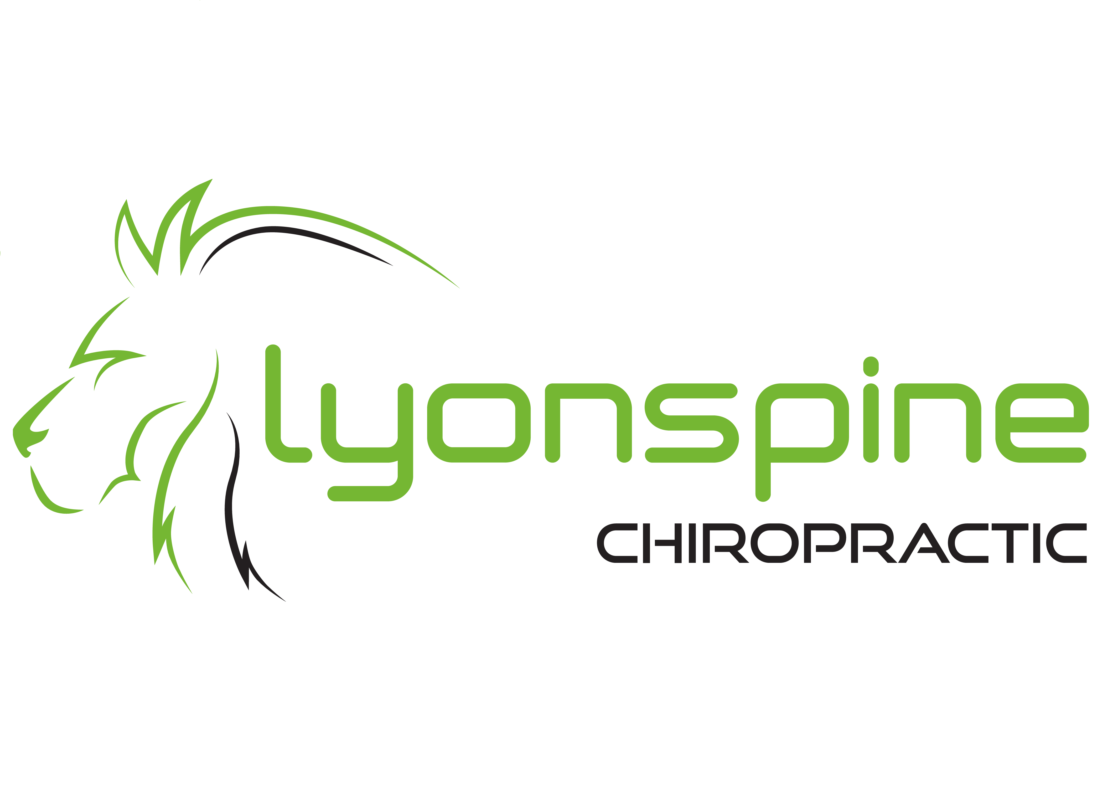 Lyonspine Chiropractic Ellijay