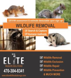 Elite Wildlife Solutions